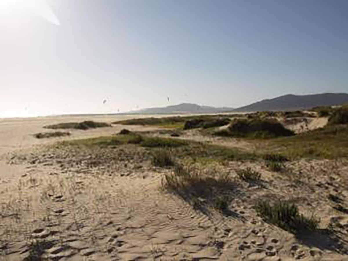 Apartament Mirador I Tarifa Zewnętrze zdjęcie